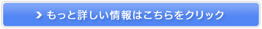 �H���s�v�I�@�l�E�X�܌���5G�Ή�Wi-Fi�yBizAir�z�̔��T�C�g��